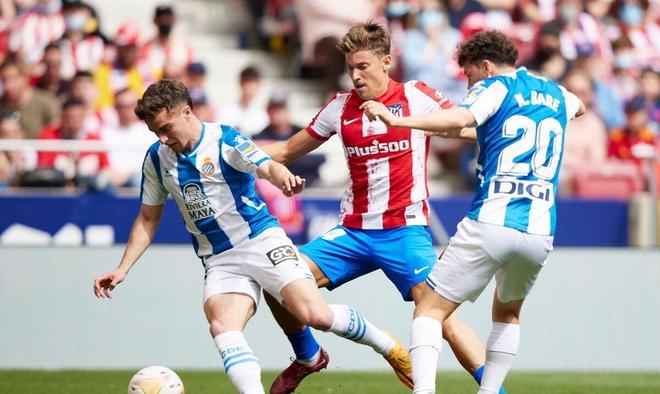 从不畏惧风 从不畏惧风