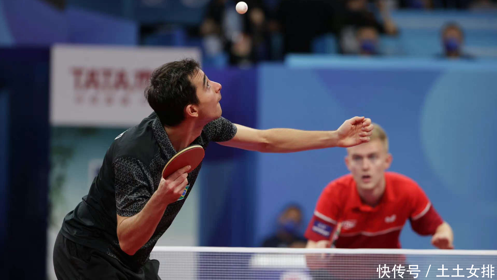 他会特别关 他会特别关