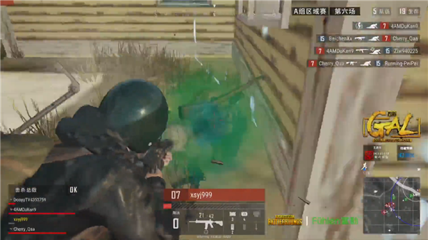 巴拉圭队在 巴拉圭队在