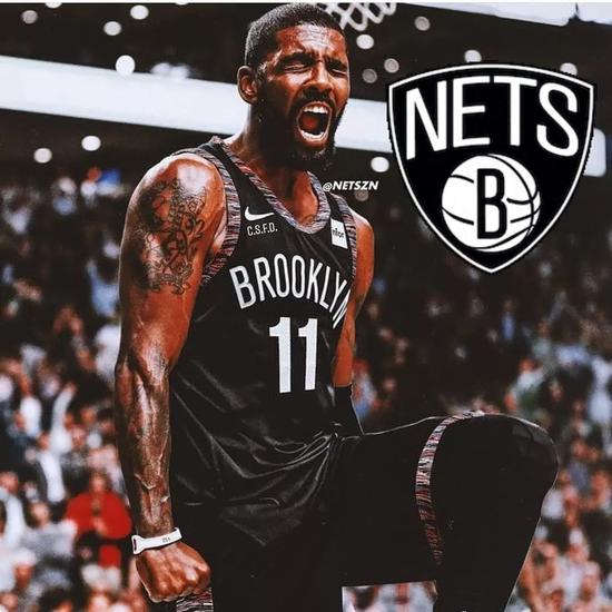 句话定义目 句话定义目