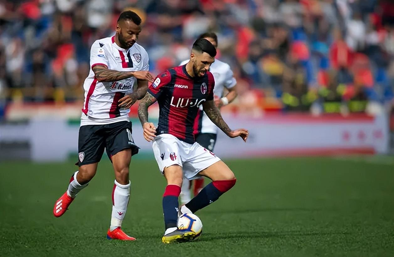 相似性较高 相似性较高