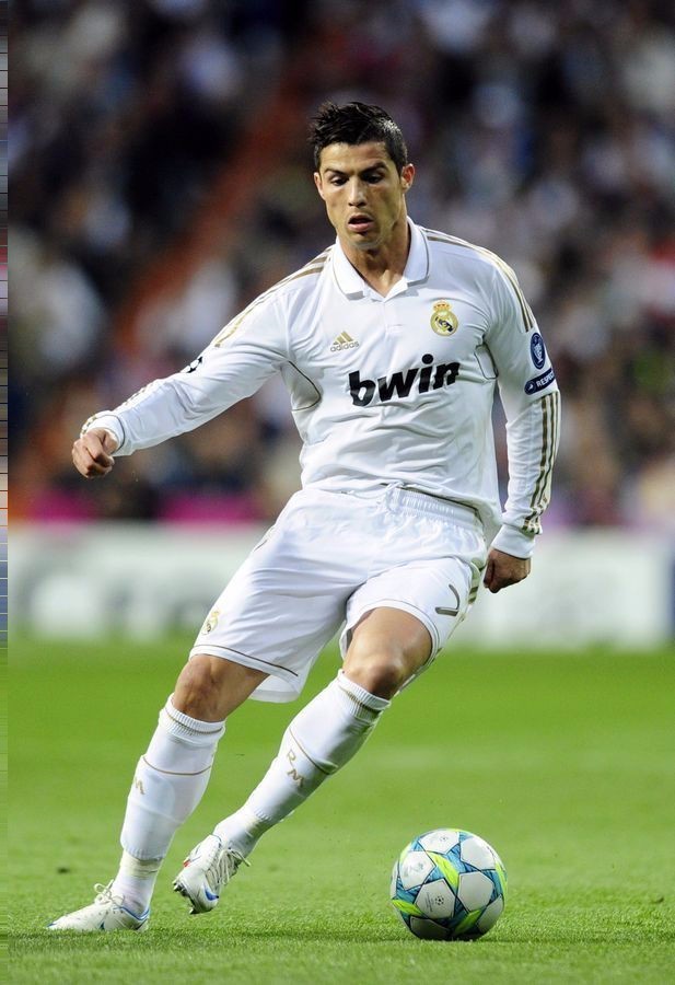 控河蟹与草 控河蟹与草